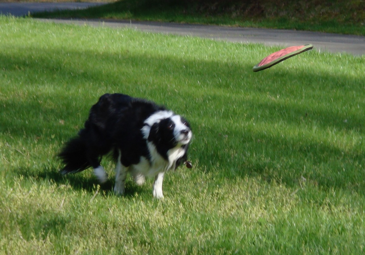 About to catch it!
