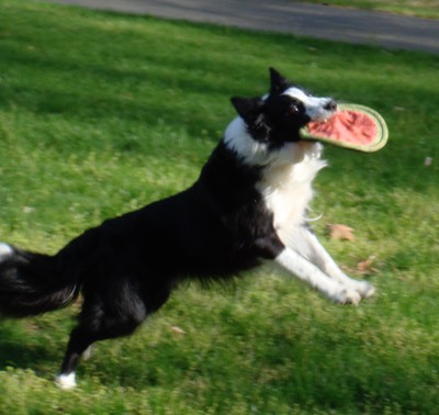 Another catch!