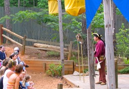 IMG 0438